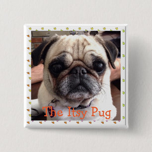 The Itsy Pug button