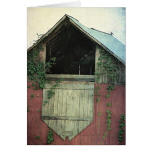 The Ivy Barn