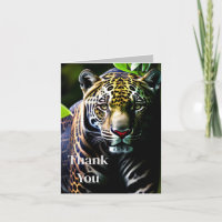 The Jaguar - Fierce Jungle Predator