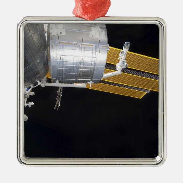 The Japanese Kibo complex 2 Metal Tree Decoration (Front)