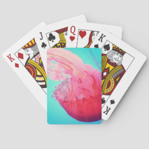 The jellyfish playing cards