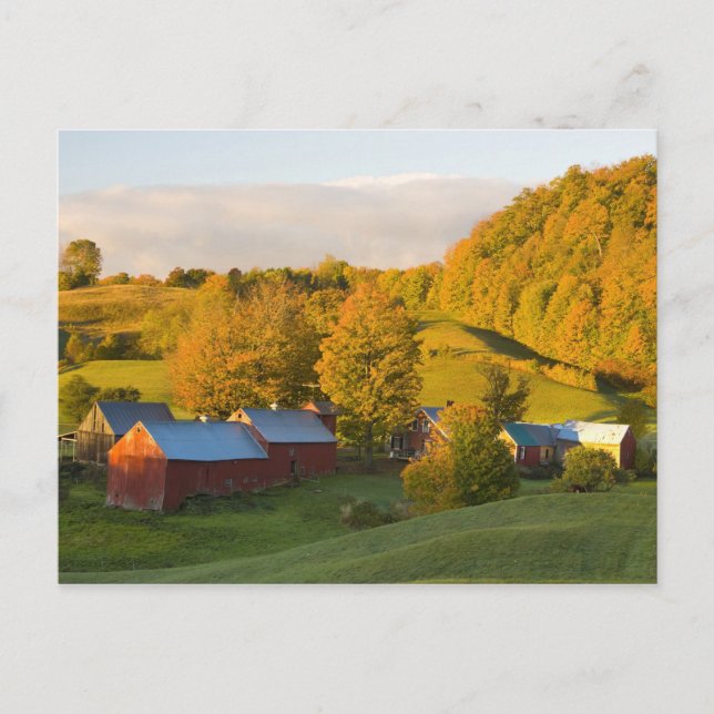 The Jenne Farm in Woodstock, Vermont. Fall. 2 Postcard (Front)