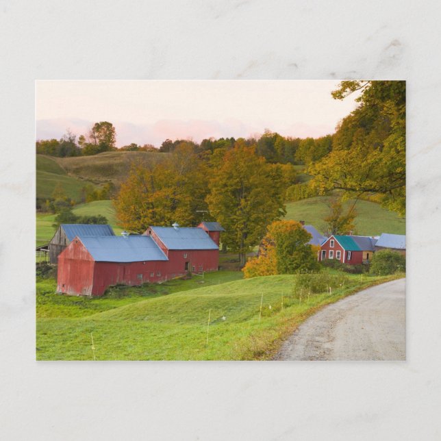 The Jenne Farm in Woodstock, Vermont. Fall. Postcard (Front)