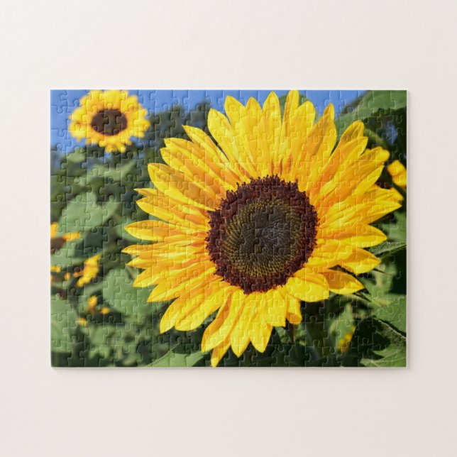 The Jigsaw Puzzle Factory Songbirds Sunflower, Spr (Horizontal)