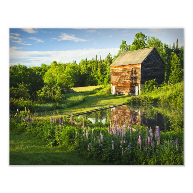 The John Brown Farm in the Adirondacks, N.Y. Photo Print (Front)