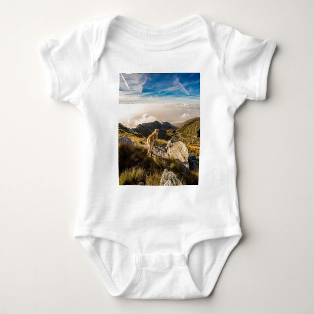 The journey baby bodysuit (Front)