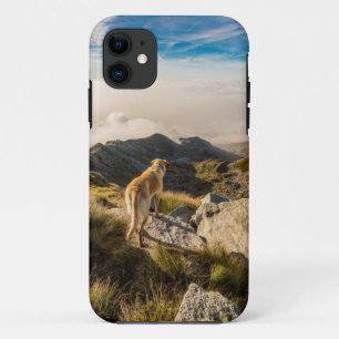 The journey iPhone 11 case