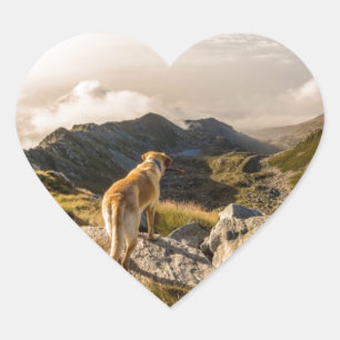 The journey heart sticker