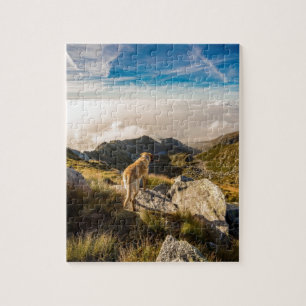 The journey jigsaw puzzle