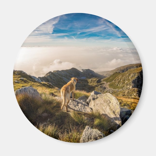 The journey magnet (Front)