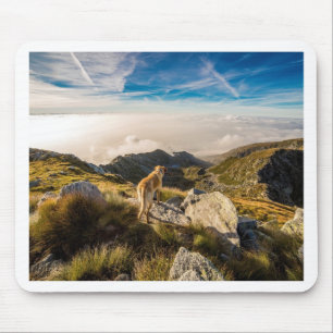 The journey mouse mat
