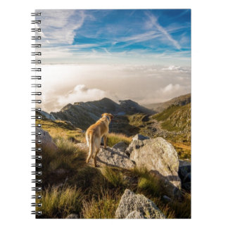 The journey notebook