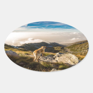 The journey oval sticker