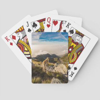 The journey playing cards