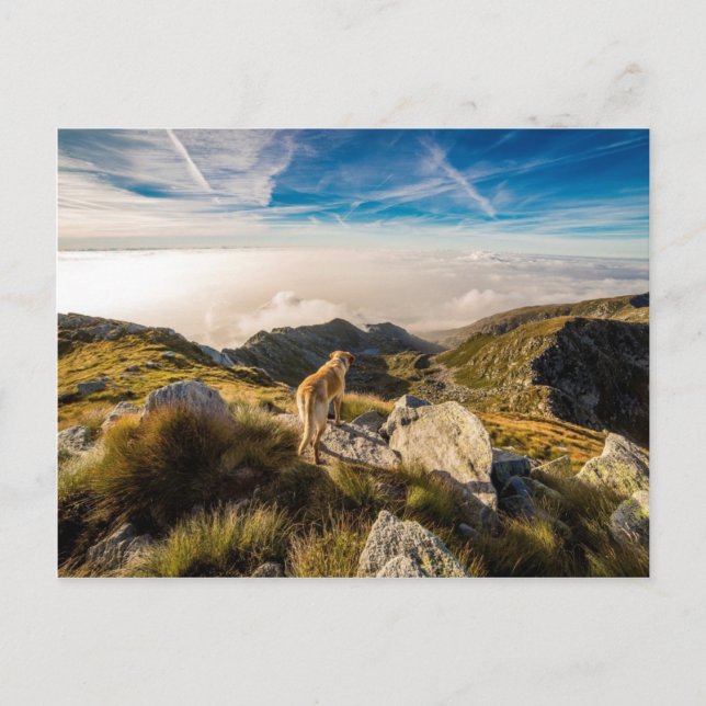 The journey postcard (Front)