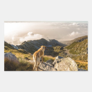 The journey rectangular sticker