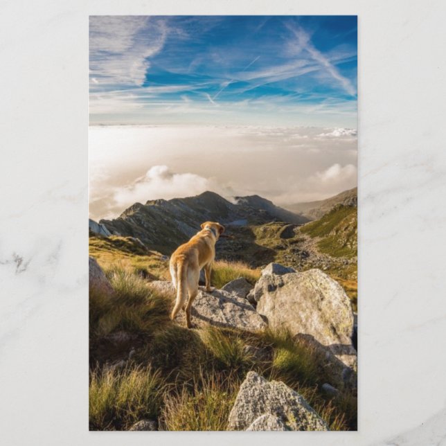 The journey stationery (Front)