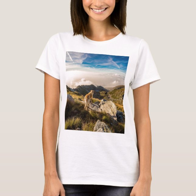The journey T-Shirt (Front)