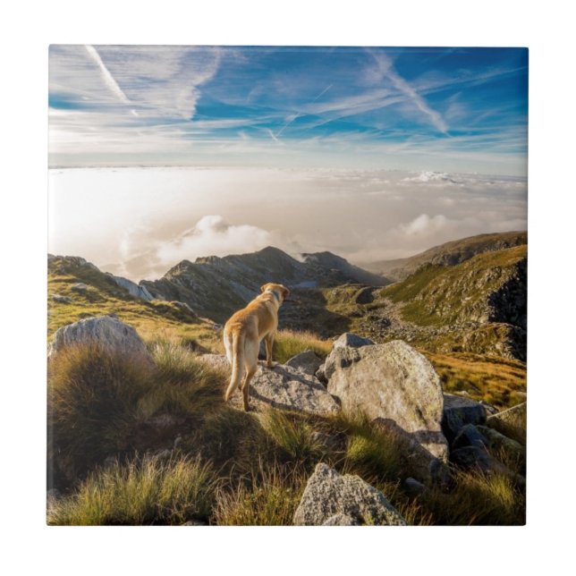 The journey tile (Front)