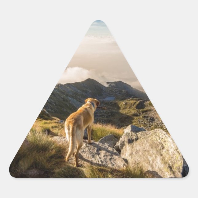 The journey triangle sticker (Front)