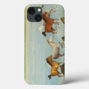The Joy of Freedom 2013 iPhone 13 Case