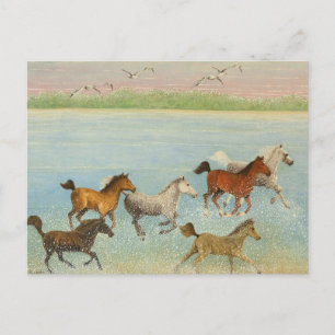 The Joy of Freedom 2013 Postcard