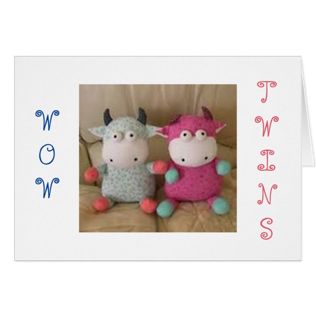 THE JOY OF TWIN GIRL/BOY DOUBLES EVERYTHING (Front Horizontal)