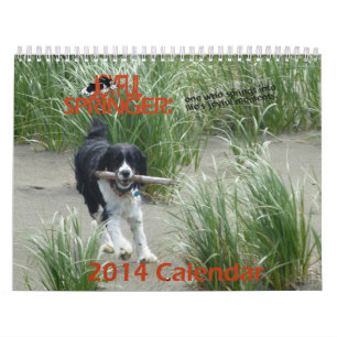 The Joyful Springer 2014 Calendar