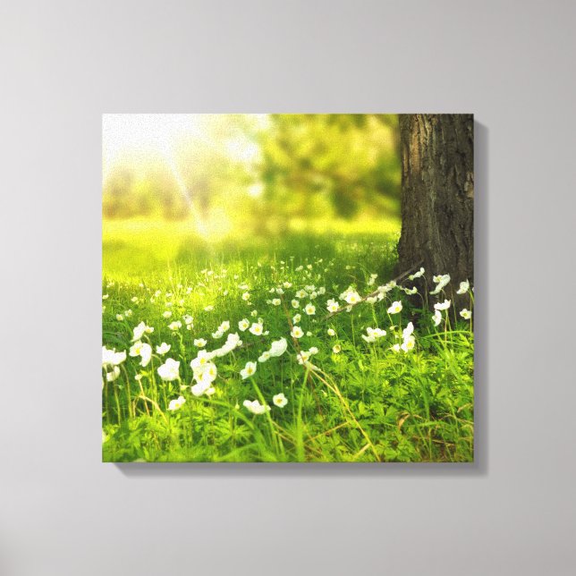The Joys of Spring Canvas Print (Front)