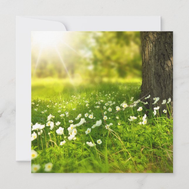 The Joys of Spring Card (Front)