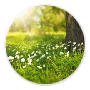 The Joys of Spring Ceramic Knob