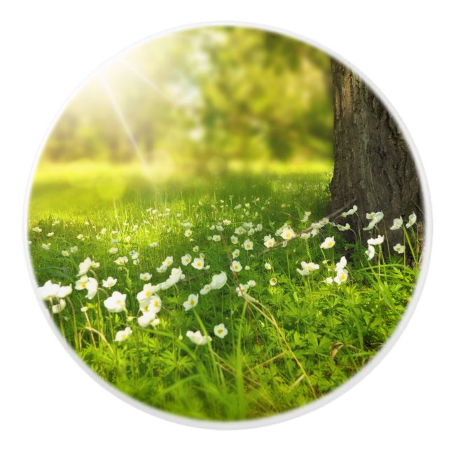 The Joys of Spring Ceramic Knob (Front)