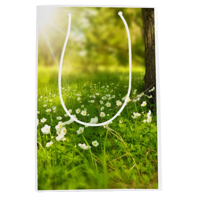 The Joys of Spring Medium Gift Bag (Front)