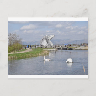 the Kelpies , Helix Park , Falkirk Postcard