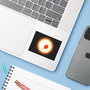 The Kepler-16 System.