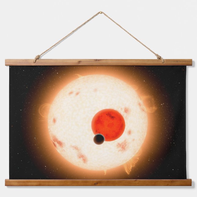 The Kepler-16 System. Hanging Tapestry (Front)