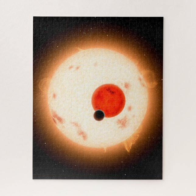 The Kepler-16 System. Jigsaw Puzzle (Vertical)