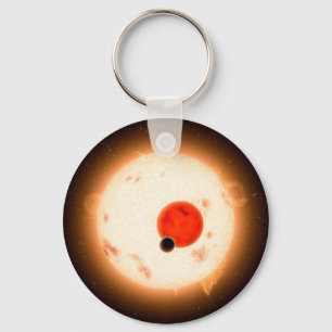 The Kepler-16 System. Key Ring