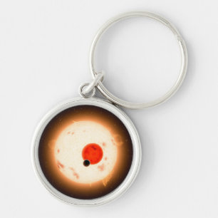 The Kepler-16 System. Key Ring
