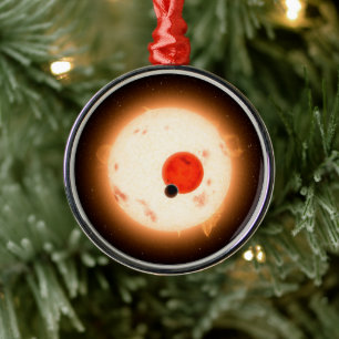 The Kepler-16 System. Metal Tree Decoration