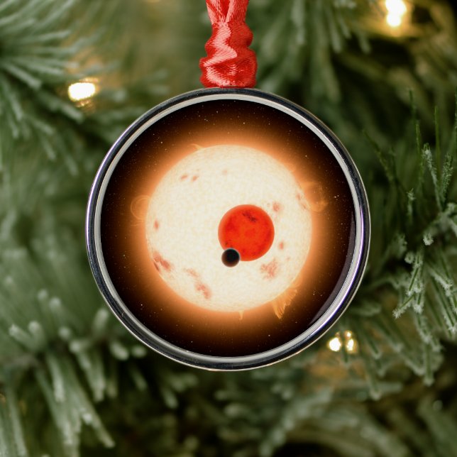 The Kepler-16 System. Metal Tree Decoration (Tree)