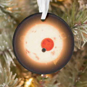 The Kepler-16 System. Ornament
