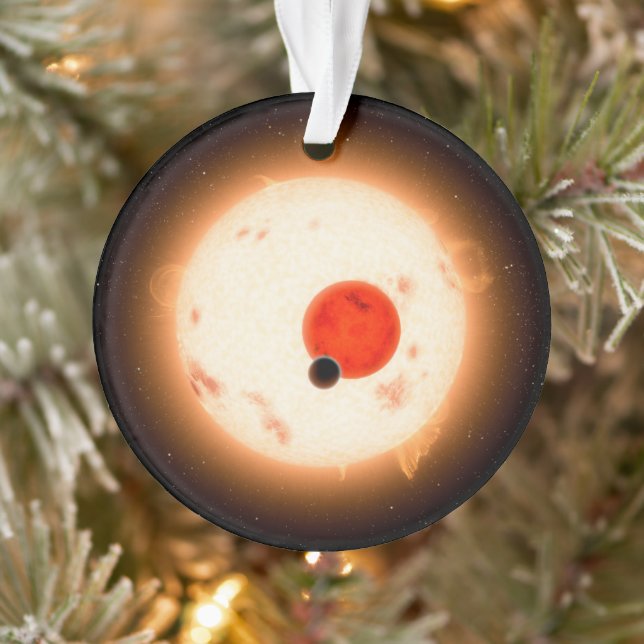 The Kepler-16 System. Ornament (Tree)