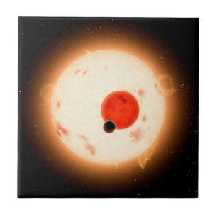 The Kepler-16 System. Tile