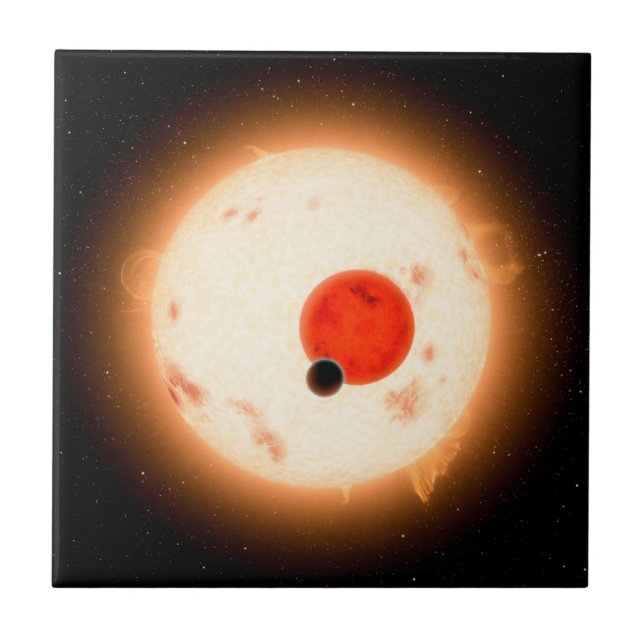 The Kepler-16 System. Tile (Front)