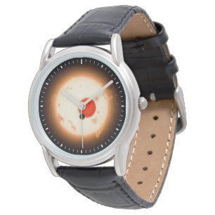 The Kepler-16 System. Watch