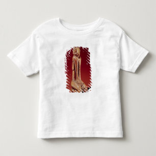 The Key Marco Cat, from Florida Toddler T-Shirt