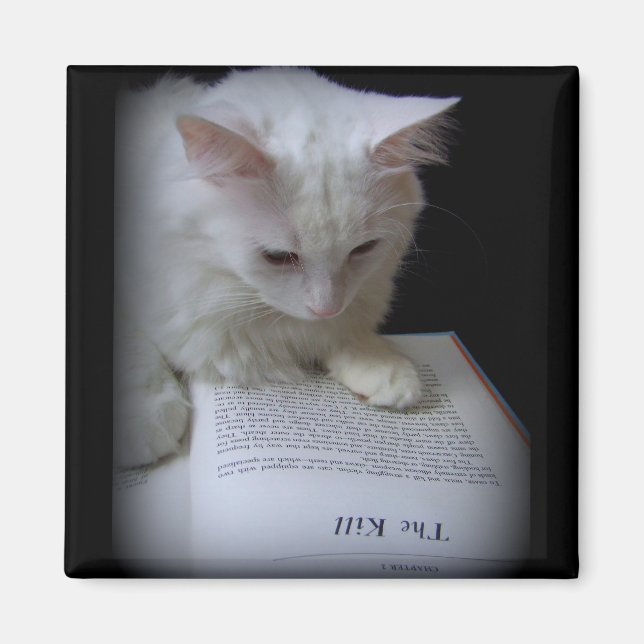 The Kill Magnet (Front)