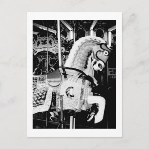 'The King Horse' (Coney Island, NY) postcard