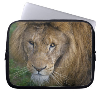 The King Laptop Sleeve
